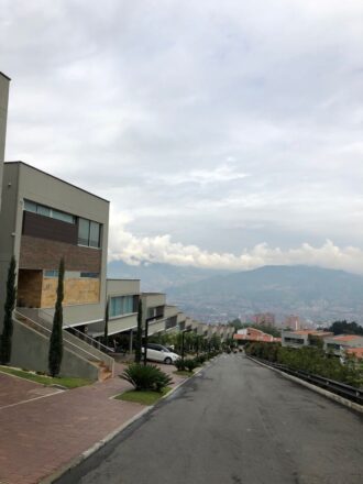 Arándano de la Calleja
