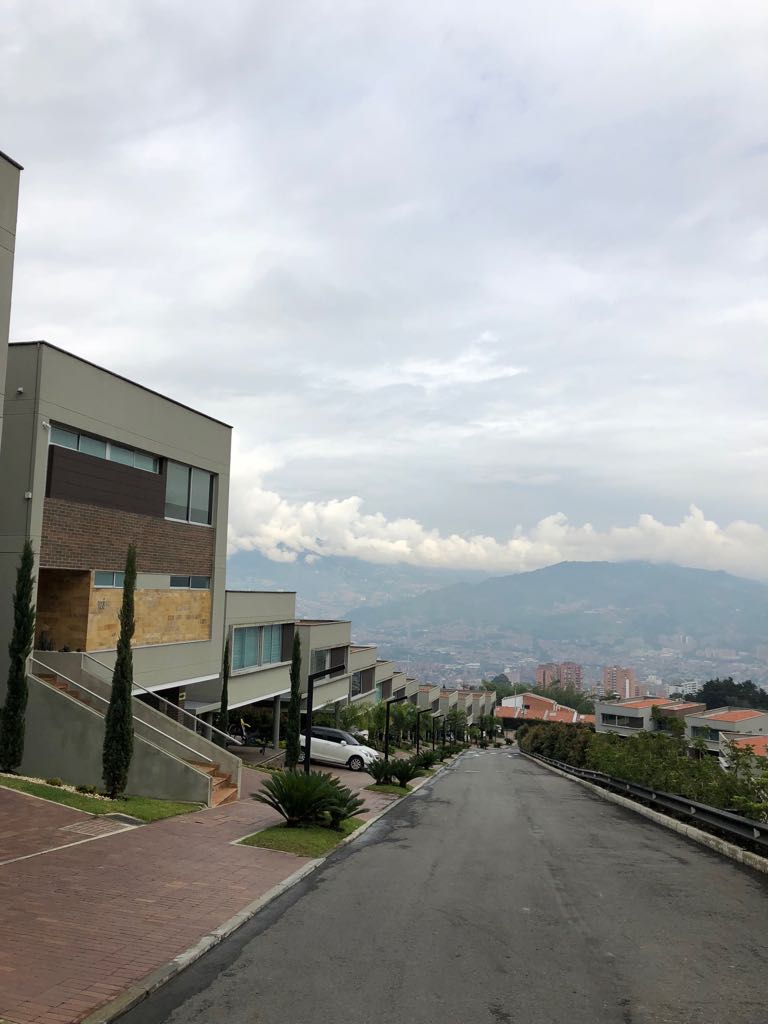 Arándano de la Calleja