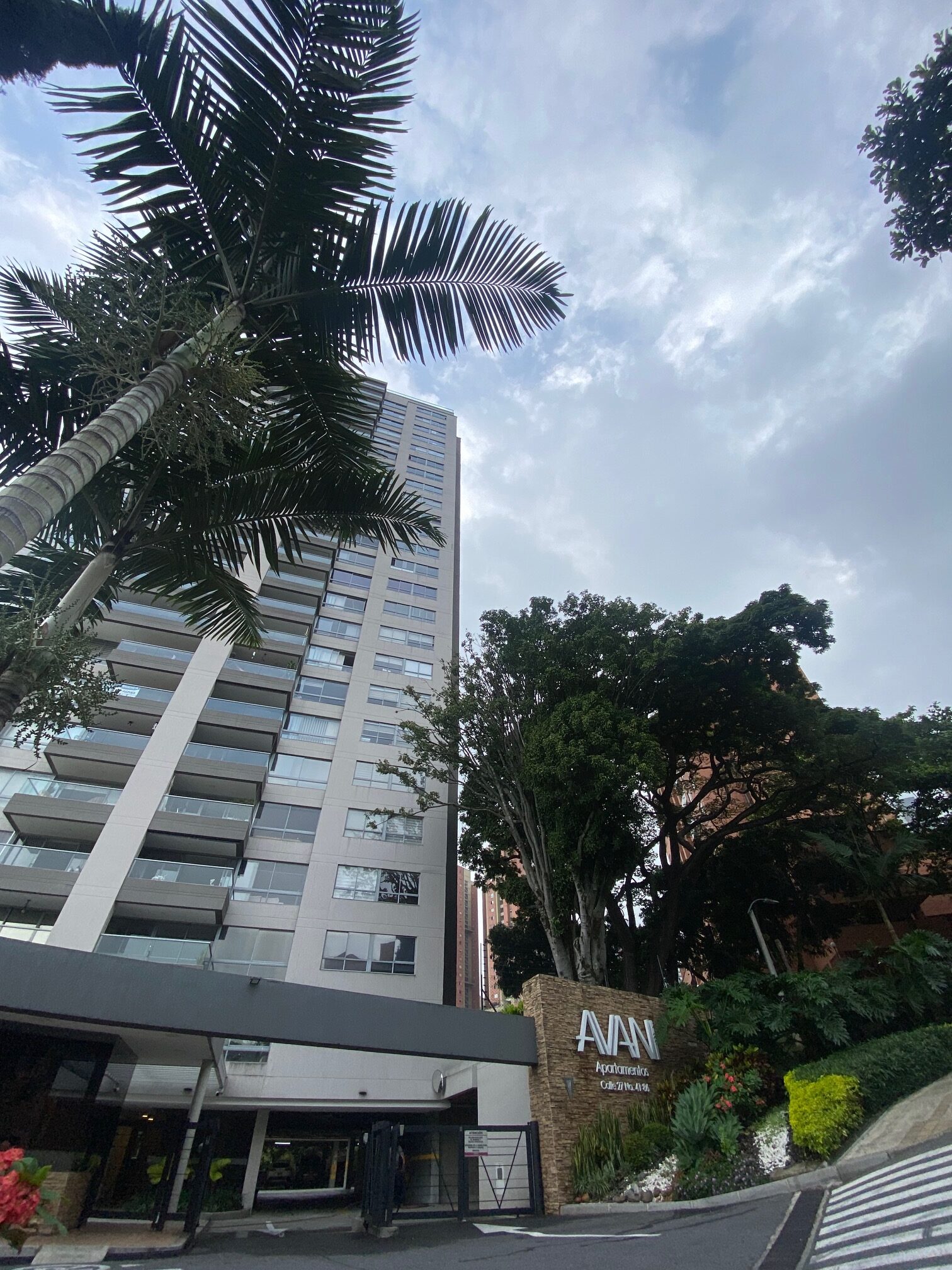 Avani