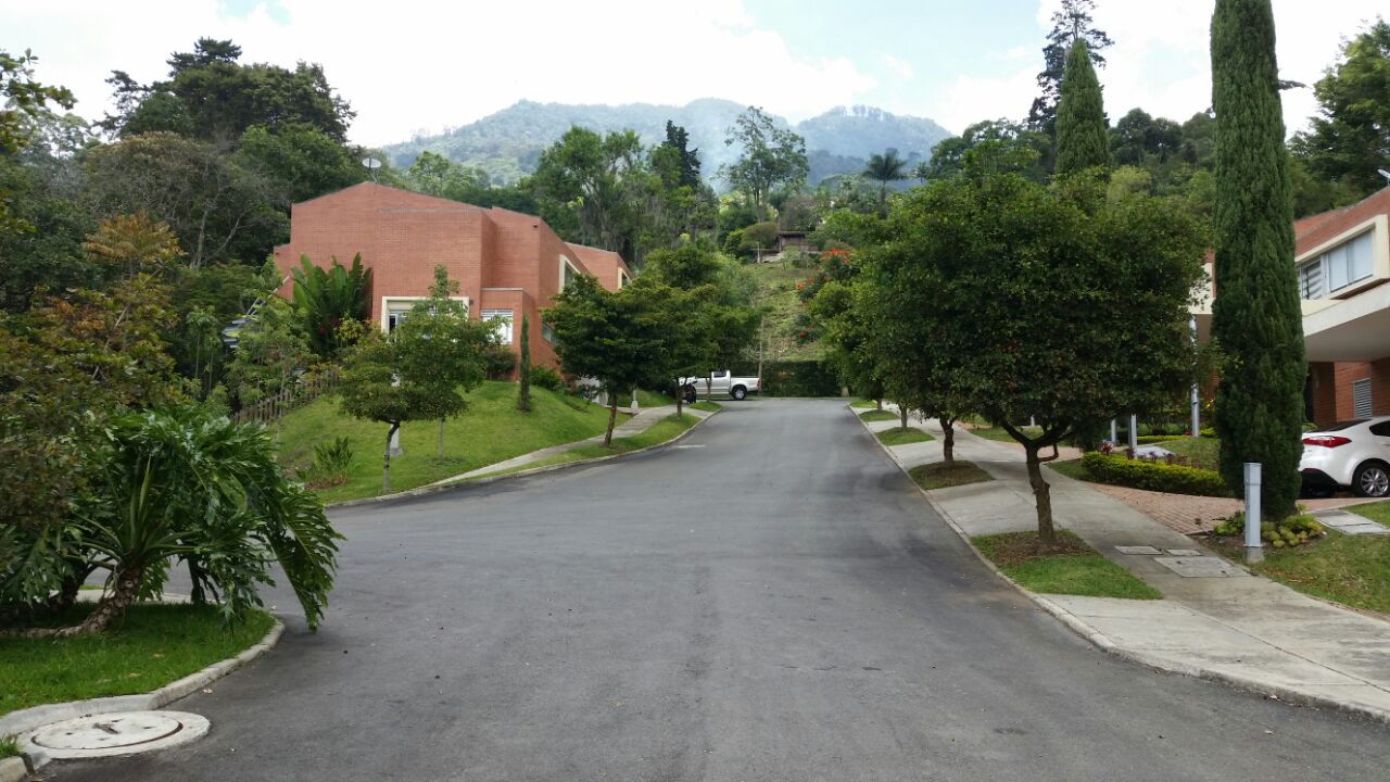 Cerezal