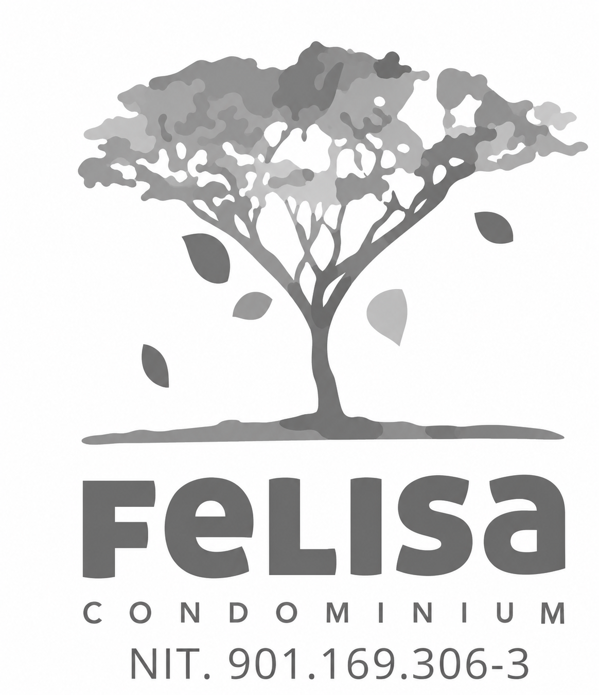 Felisa Condominium